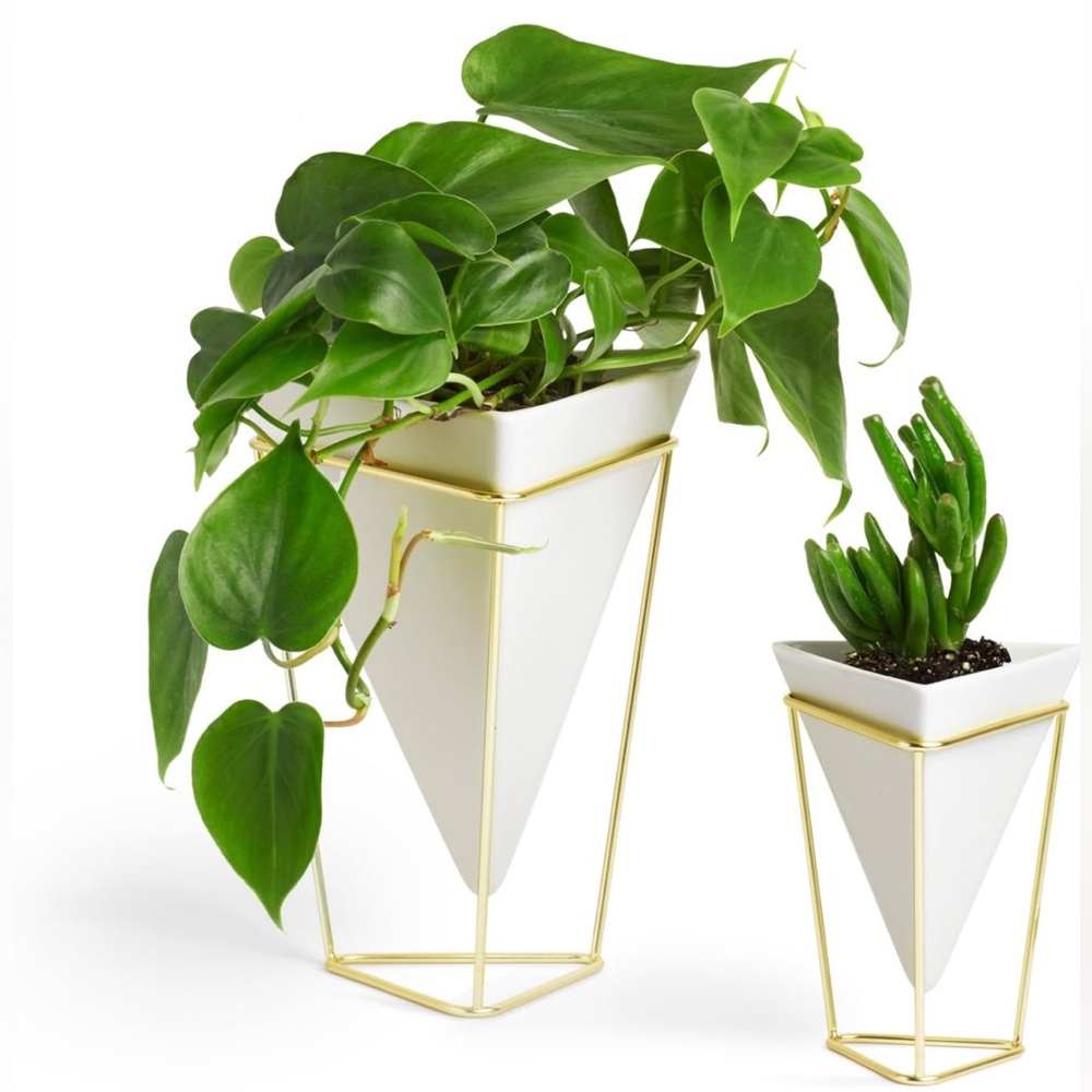 Umbra | Large Desktop Planter